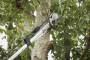 Fierastrau-foarfeca pentru crengi, telescopic - Milwaukee