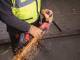 Polizor de inalta performanta M18 FUEL, 125 mm, franare, viteza variabila, ONE-KEY - Milwaukee M18 FHSAGO125VXPDB2-0X