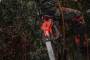 Fierastrau top handle cu lant M18 FUEL 30 cm - Milwaukee M18 FTHCHS30-0