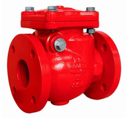 Supapa de sens oscilanta cu flanse, 2 1/2&QUOT;, 300 psi