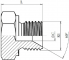 Dop cu filet exterior 60° 3/4&QUOT; BSP