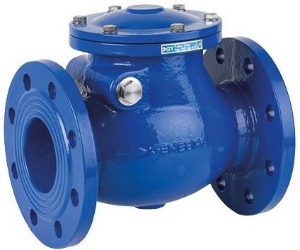 Supapa de sens oscilanta 2 1/2&QUOT; (DN65), flanse DIN PN 16