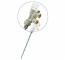 Robinet termostatic pentru instalare pe o singura teava, filet 1/2&QUOT;, PN 10